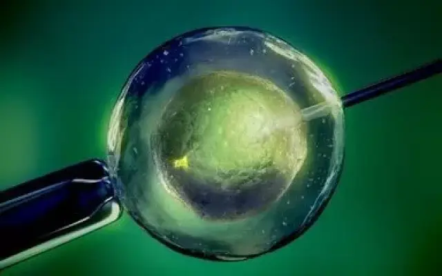 暖阳生殖医学中心
